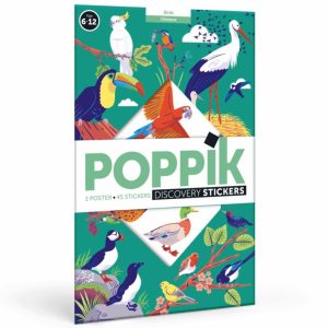 Poster à stickers – Oiseaux
