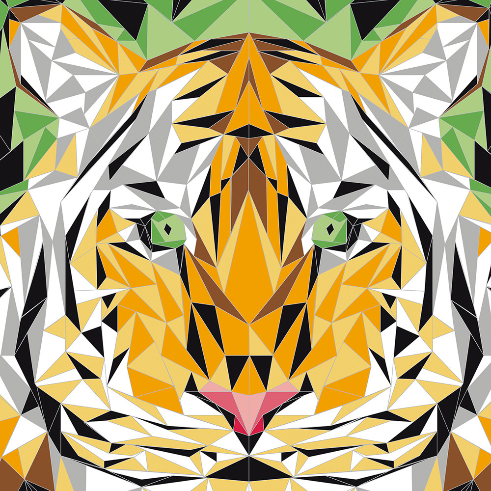 SET CREATIF SCRATCH ART ANIMETRIX – Image 6
